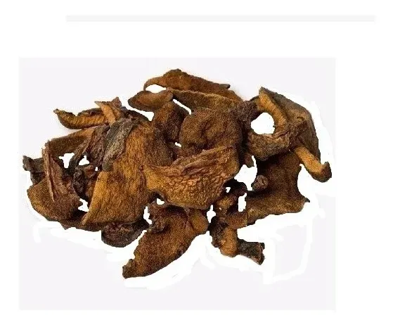 HONGOS SECOS DE PINO XKG