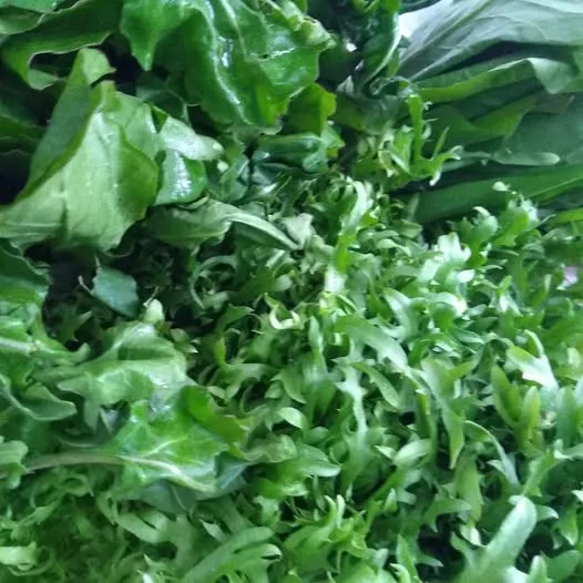 ENSALADA DE RADICHETA/RUCULA