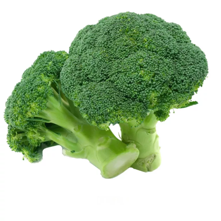 BROCOLI