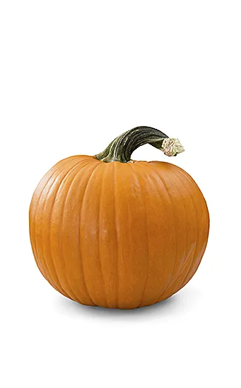 CALABAZA