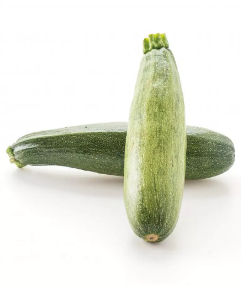 ZUCCHINI
