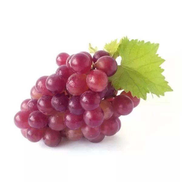 UVAS RED GLOBE