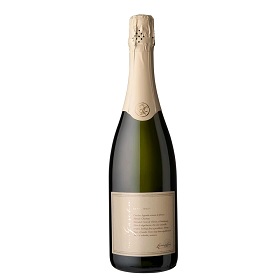 FAMILIA GASCON EXTRA-BRUT ESPUMANTE
