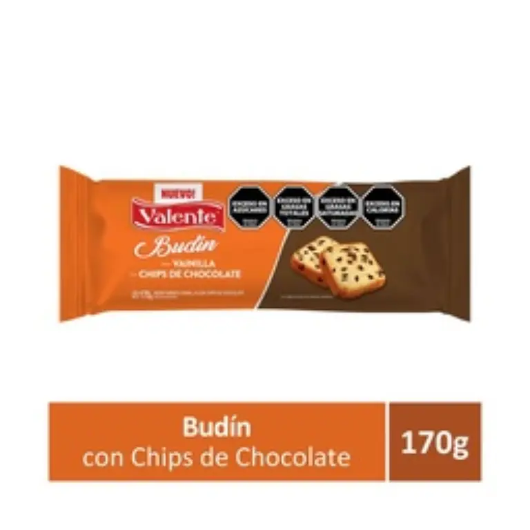 VALENTE BUDIN C/CHIP X170GR.